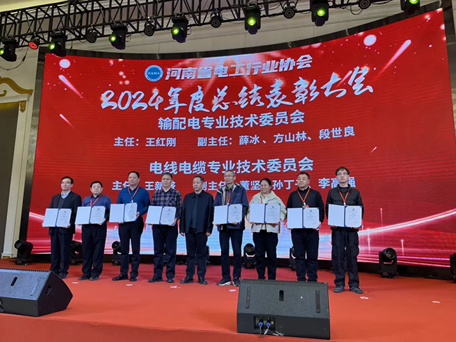 索凌電氣榮獲河南省電工行業(yè)雙優(yōu)稱號(hào)， 持續(xù)助力電力行業(yè)發(fā)展
